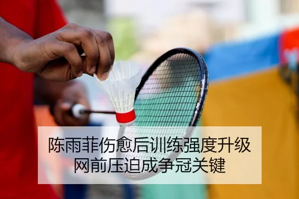 陈雨菲伤愈后训练强度升级 网前压迫成争冠关键